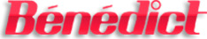 Logo Bénédict-Schule AG