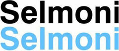Logo Selmoni Ingenieur AG