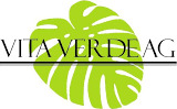 Logo VITA VERDE AG